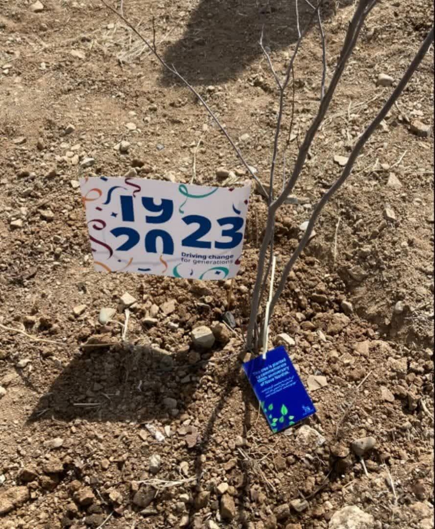 کاشت صد اصله درخت در صدسالگی نوو نوردیسک