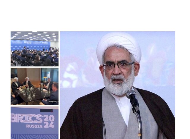دادگاه‌های کشورهای عضو بریکس اقدامات قضایی مناسب درباره تحریم‌های آمریکا اتخاذ کنند